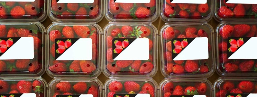 Label applied to a plastic container.